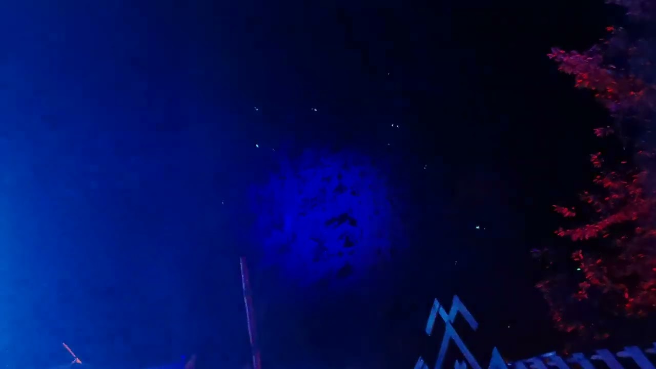 Summer Contrast Festival 2024 - Sunday (Oak Stage)... Magic Place in Rogalinko 🌌