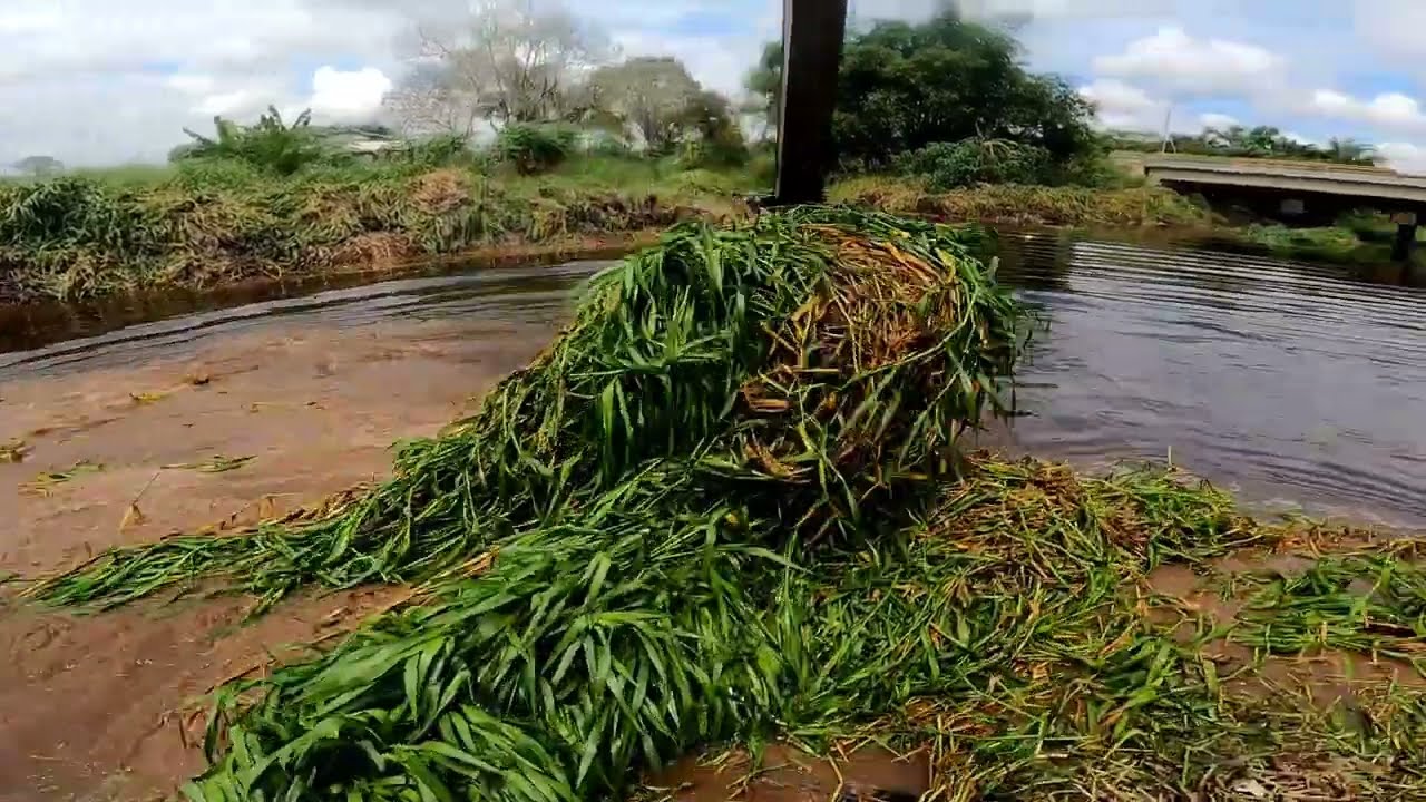 beko besar amphibious excavator normalisasi sungai pelalawan sarang ikan predator riau part 15