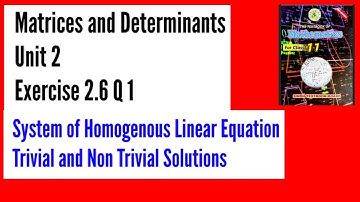 Exercise 2.6 Class 11 maths | Trivial and Non Trivial Solutions of homogenous Equations | Ex 2.6 Q 1