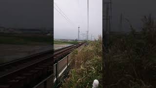 8000系 特急しおかぜ  アンパンマン電車  高速通過