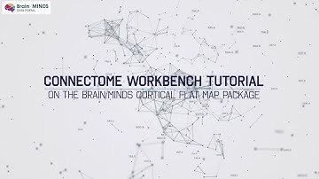 Connectome Workbench tutorial on the Brain/MINDS cortical flat map package