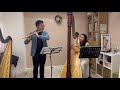 Wedding March - Mendelssohn - Harp &amp; Flute Deut