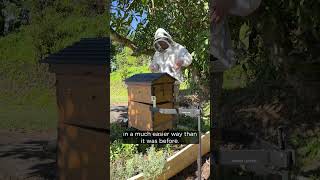 Brood frames stuck to the super