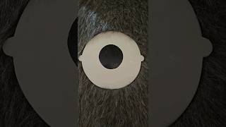 A furry wet giant...To-to-ro Totoro...#shorts #anime #cartoon #cuddly #cute #toys #japan