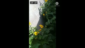 سورة سبأ أجمل صوت قارئللقرآن الكريم