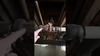 Rusty old plumbing! #diy #rental