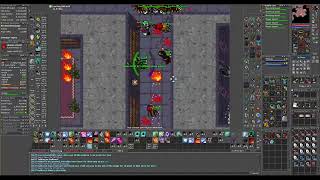 Tibia MS 550 Full team hunt fire library part 2