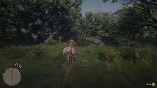 #PS5Live #RedDeadRedemption2 #Gameplay #Campaign