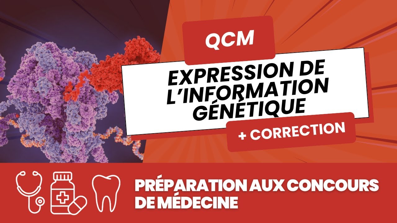 QCM & CORRECTION – Expression de l’information génétique 🧬 | Préparation Concours Médecine