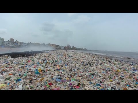 Video: Mumbajas jūras brauciens: pilnīga rokasgrāmata
