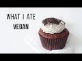 What I Ate as a Vegan in Amsterdam!