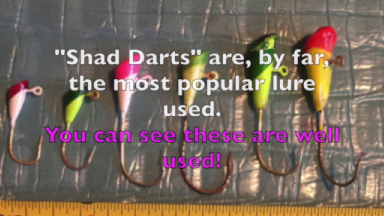 Bonneville Shad Fishing A How to Quick Start Guide YouTube