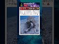 自然は、ちゃんと役割を分けている 😅