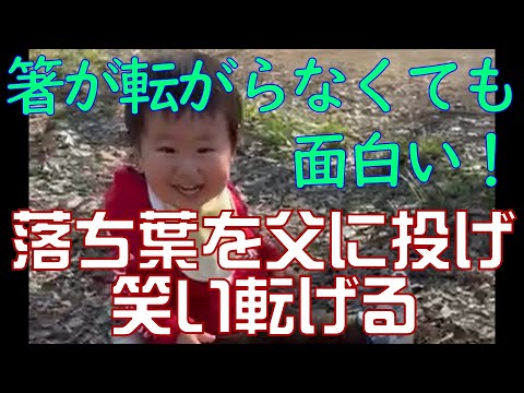 【1歳4か月】公園で笑い転げる