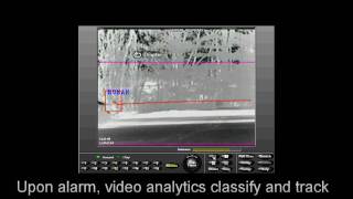 Trigger INTELLEX Integration with live video analytics Wealth