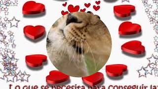 Fuiste, Eres y Seras  Mi Mas Bonita Casualidad