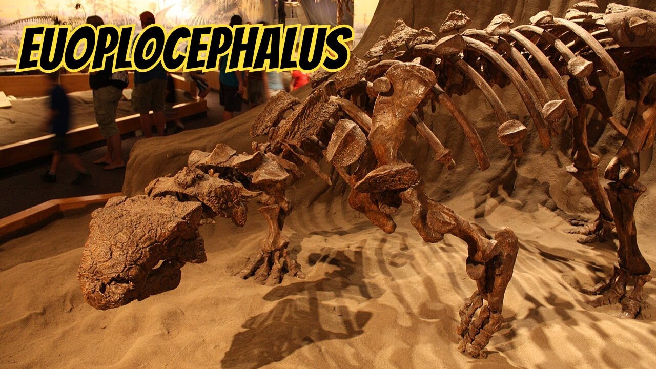 Несокрушимая крепость: почему ни один хищник не смог остановить Эуоплоцефал