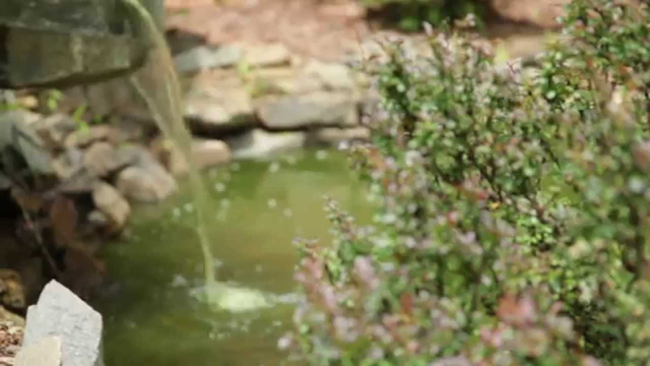 AshevilleAndBeyond Presents 506 Wooten Cove Road, Weaverville, NC