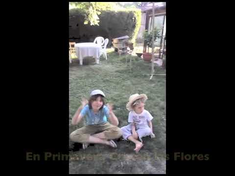 Las 4 Estaciones (tema infantil) Nelson Vergara y Violeta  Noterdaeme-Fuentealba - YouTube