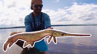 Pesca en los Flats --- Pesca de Gar en el río Ottawa screenshot 4