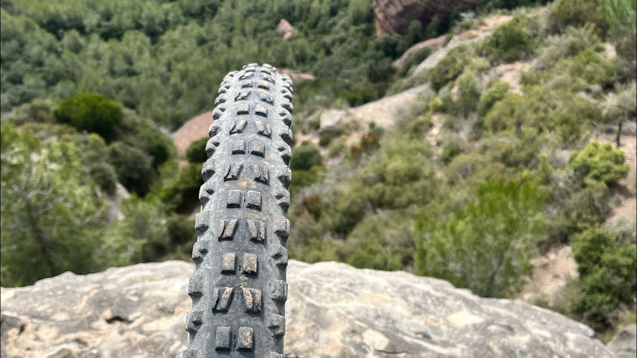 Franc 3/3/2026 TODO LO RICO 