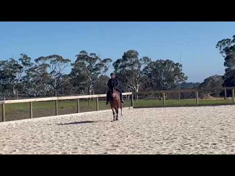 T Webb Pre St George Freestyle