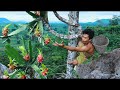 Survival in the rainforest find fruits are food dragon fruit