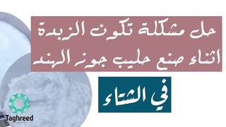 حل مشكلة تكون الزبدة اثناء صنع حليب جوز الهند في الشتاء