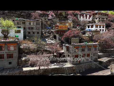 Turquoise Indus River winds past Garkon Village through Ladakh’s rugged mountains