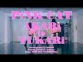 【ATY】PiNK CATを踊ってみた【明香里と夕香里】