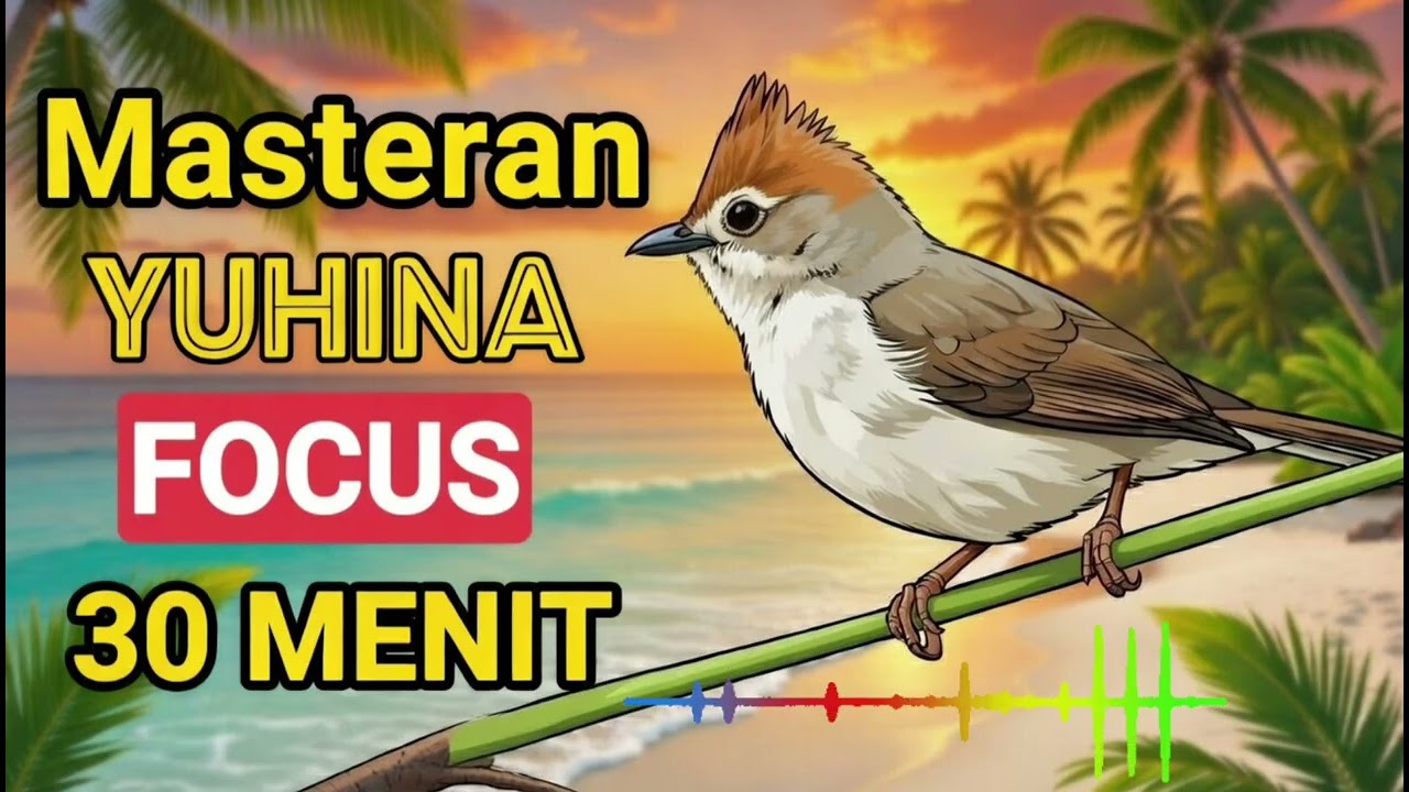 Yuhina Suara Jernih Tanpa Noise 
