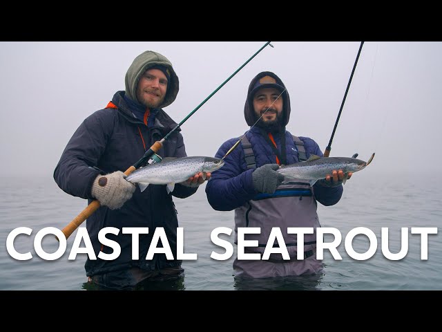 Coastal Seatrout With The Sandy Inline