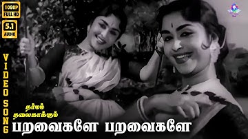 Paravaigale Paravaigale | HD Video Song 5.1 | Saroja Devi | P Susheela | Kannadasan | KVM