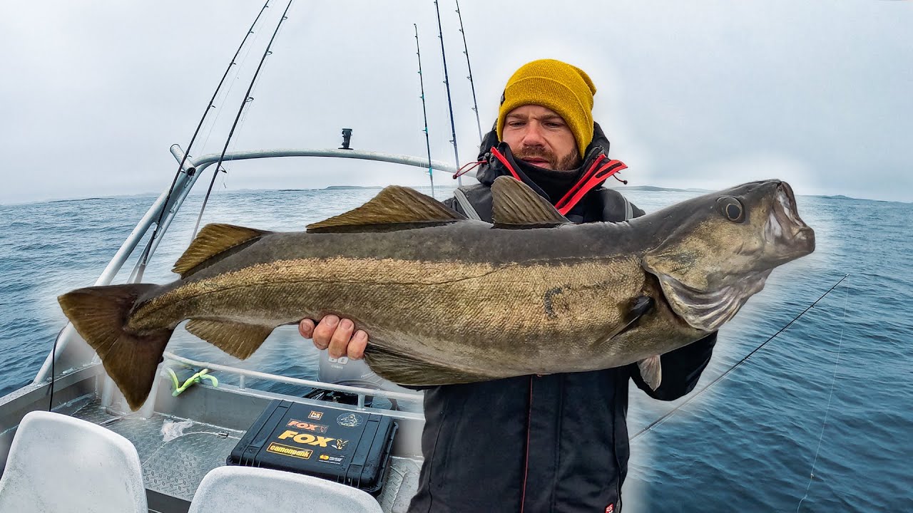 Damit hätte ich nicht gerechnet! 😱 | Angeln in Norwegen 🇳🇴