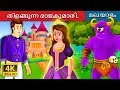 തിളങ്ങുന്ന രാജകുമാരി | The Glowing Princess Story in Malayalam | Malayalam Fairy Tales