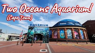 S1 - Ep 446 - Two Oceans Aquarium Cape Town!
