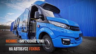 :      Foxbus   Iveco Daily