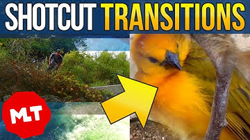 Shotcut Video Transitions Tutorial