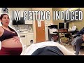 I’M GETTING INDUCED!