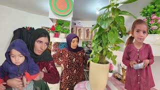 Zulikha a brave village woman in Iran. Cleaning the goat stable and making spaghetti  #village