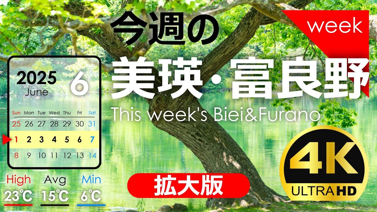 今週の美瑛・富良野【拡大版】丘が新緑に染まってきました！2025年6月第❶週｜季節の風景を発信中！北海道アーカイブ