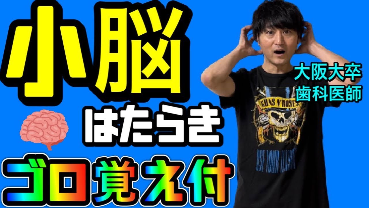 ゴロ覚え付！！小脳の働き 中枢神経 【解剖生理学68】【神経の生理21】