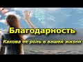 Благодарность. Какова её роль в Вашей жизни.