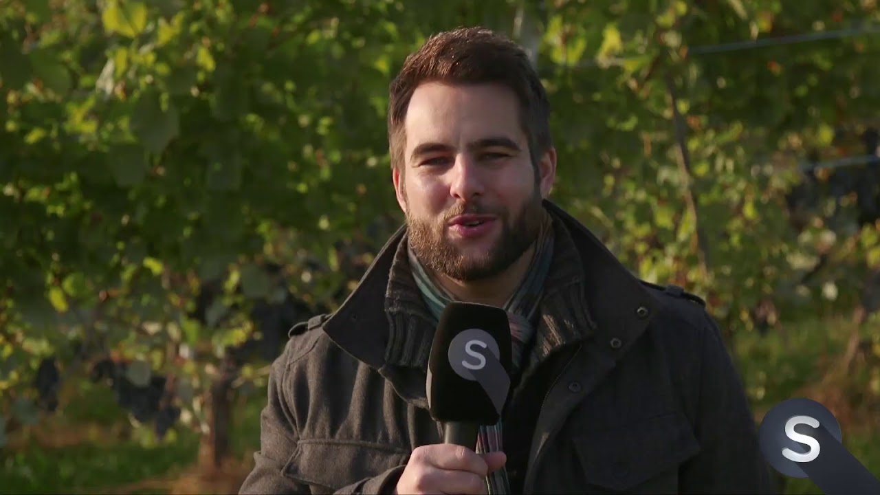 Spotlight - Willkommen in der Winzerei zur Metzg