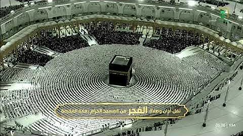 ترتيل يسكن القلبّ من سورة النساء 44-57 للشيخ د. #ماهر_المعيقلي فجر الإثنين 26 جمادى الأولى 1447هـ.