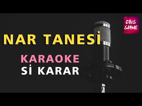 NAR TANESİ (NAR DANESİ) / SEVDA OLMASAYDI Karaoke Altyapı Türküler - Si