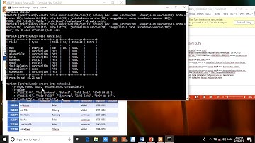 Praktikum2 Belajar Manipulasi Data menggunaka MySql & CMD