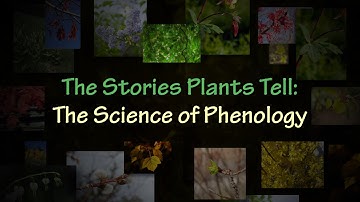 The Stories Plants Tell: The Science of Phenology