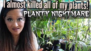 I ALMOST KILLED ALL OF MY PLANTS!  Houseplant Horror Story,  Collective Plants, Aroids