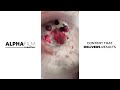 Alpha film creative optimum nutrition smoothie creation  kate osman